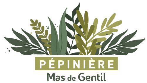 Pépinière du Mas de Gentil